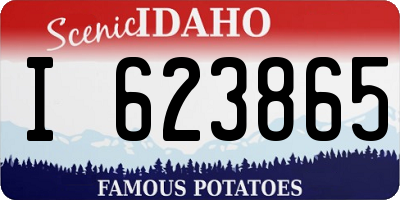 ID license plate I623865
