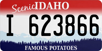 ID license plate I623866