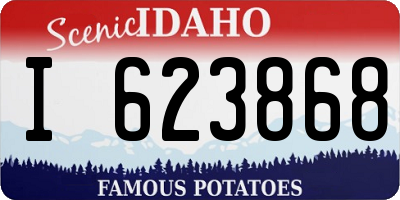 ID license plate I623868