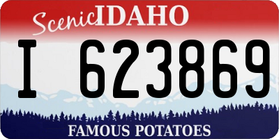 ID license plate I623869