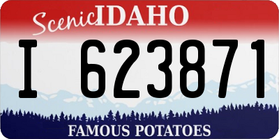 ID license plate I623871