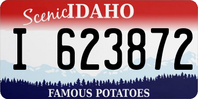 ID license plate I623872