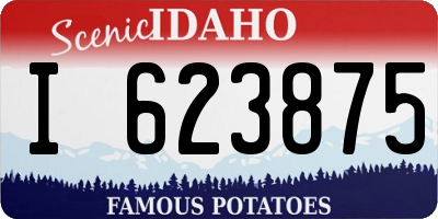 ID license plate I623875