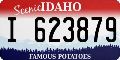 ID license plate I623879