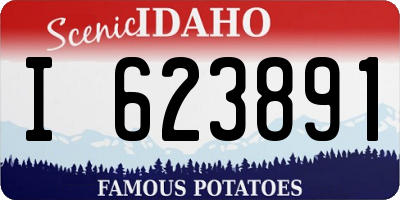ID license plate I623891