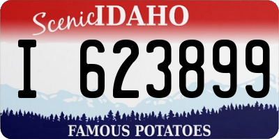 ID license plate I623899