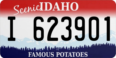 ID license plate I623901