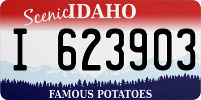 ID license plate I623903
