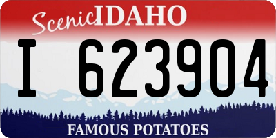 ID license plate I623904
