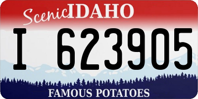 ID license plate I623905
