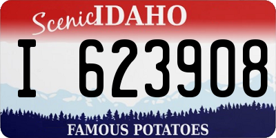 ID license plate I623908