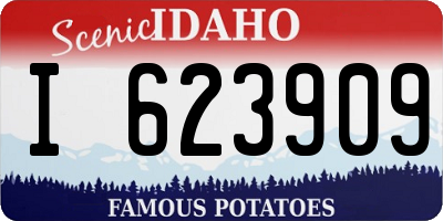 ID license plate I623909