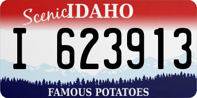 ID license plate I623913