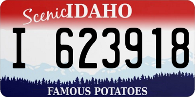 ID license plate I623918