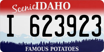 ID license plate I623923