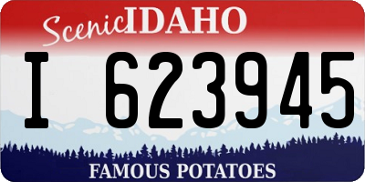 ID license plate I623945