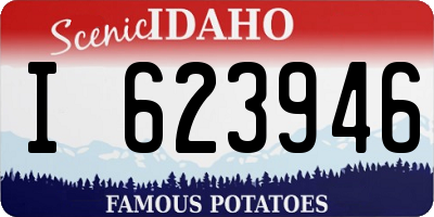 ID license plate I623946