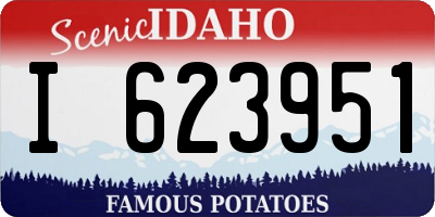 ID license plate I623951