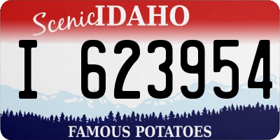 ID license plate I623954