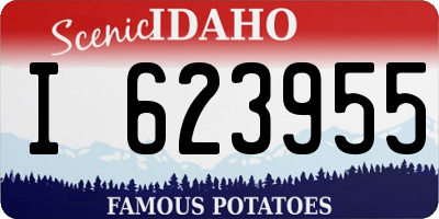 ID license plate I623955
