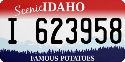 ID license plate I623958