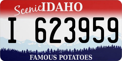 ID license plate I623959