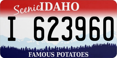 ID license plate I623960