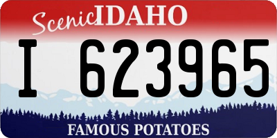 ID license plate I623965