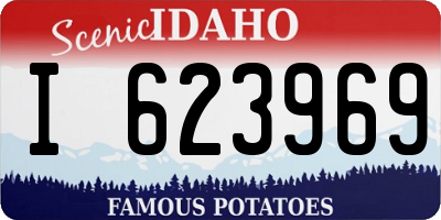 ID license plate I623969