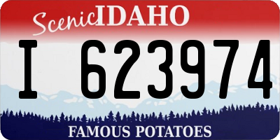 ID license plate I623974