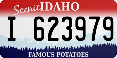 ID license plate I623979