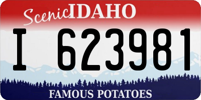ID license plate I623981