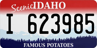 ID license plate I623985
