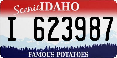 ID license plate I623987