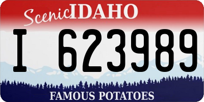 ID license plate I623989
