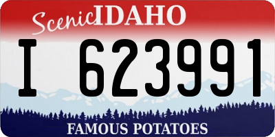 ID license plate I623991