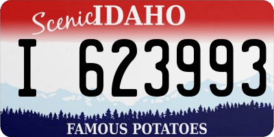 ID license plate I623993