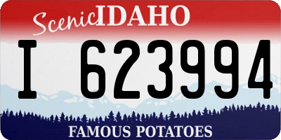 ID license plate I623994