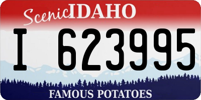 ID license plate I623995