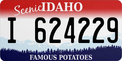 ID license plate I624229