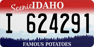ID license plate I624291