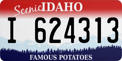 ID license plate I624313