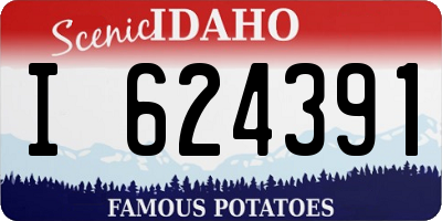 ID license plate I624391