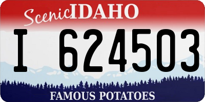 ID license plate I624503