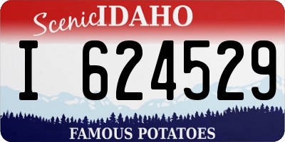 ID license plate I624529