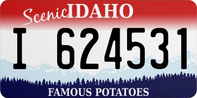 ID license plate I624531