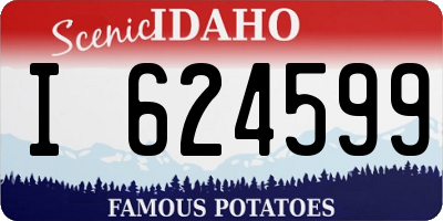 ID license plate I624599
