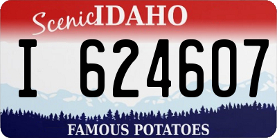ID license plate I624607