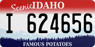 ID license plate I624656