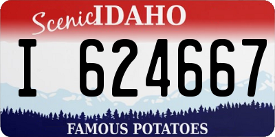 ID license plate I624667